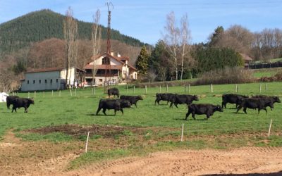 Ferme bio en ligne, la tradition au coeur des Vosges