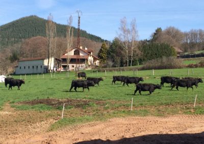 ferme bio en ligne