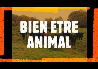 Viande bio – Ferme Albrecht – Présentation