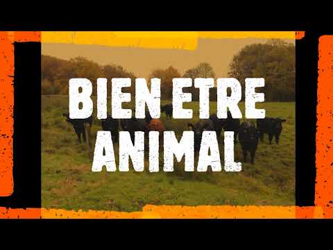 Viande bio – Ferme Albrecht – Présentation