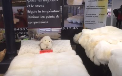 Comment nettoyer une peau d’agneau ?